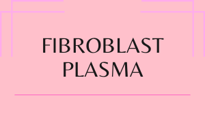 Slider-FIBROBLAST